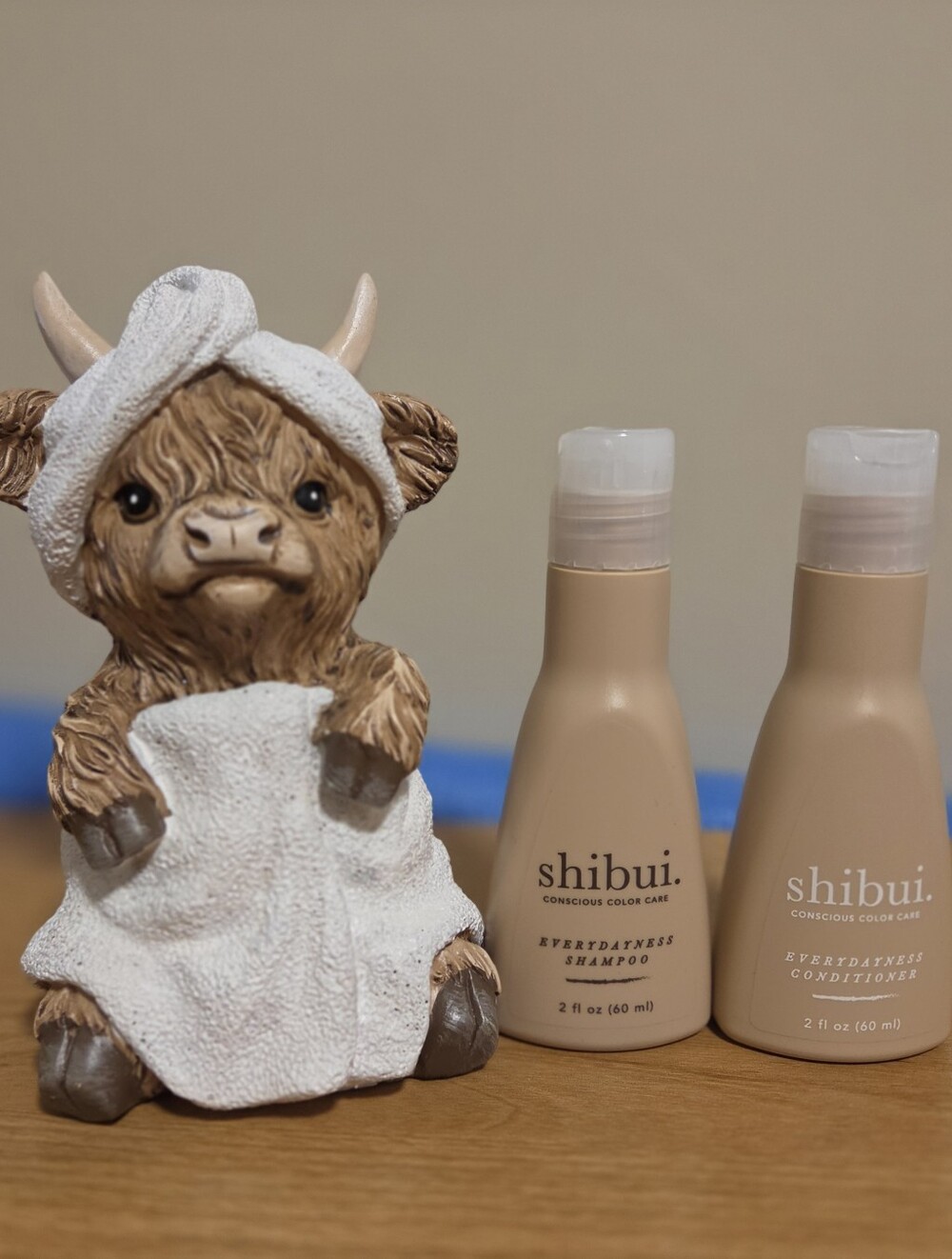 SHIBUI EVERYDAYNESS SHAMPOO & CONDITIONER SET